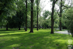 Wiosna 2019 - fragment parku z drzewami